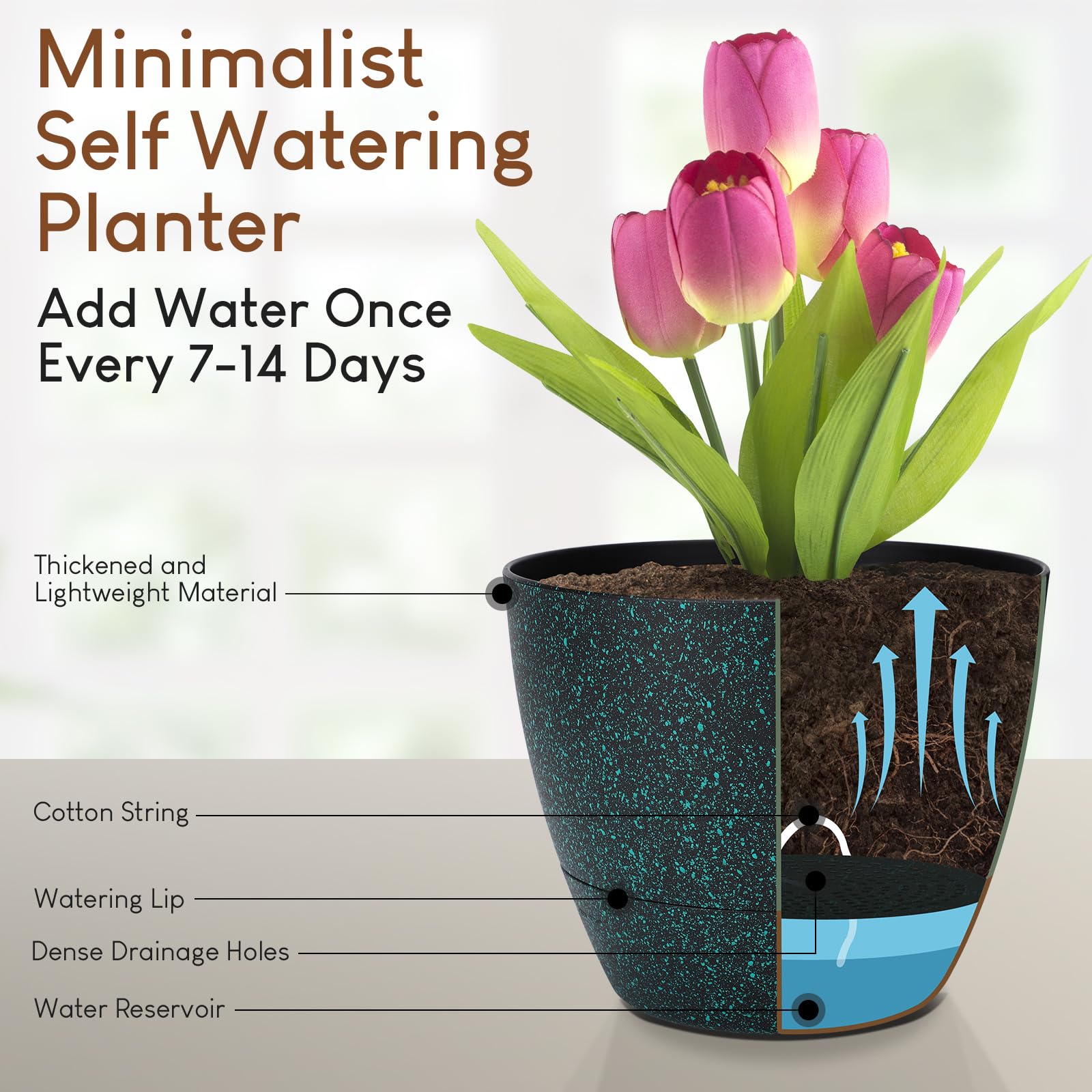YNNICO 7.5-inch pot includes bottom tray for convenient watering during trips