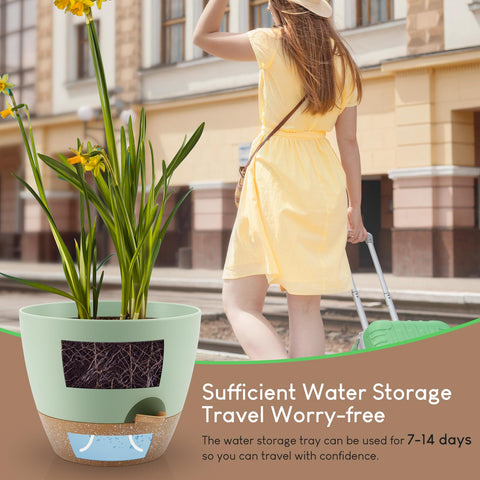YNNICO built-in tray enables bottom watering and overflow drain.