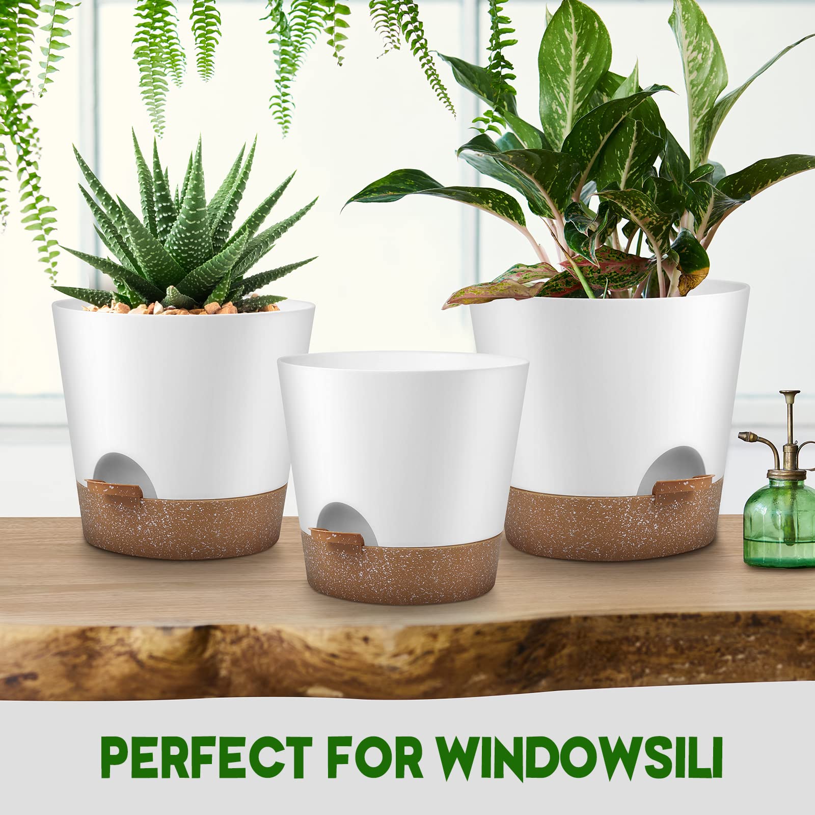 YNNICO Snow minimalist matte finish planter complements modern decor