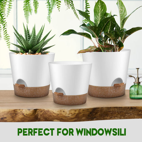 YNNICO Snow minimalist matte finish planter complements modern decor