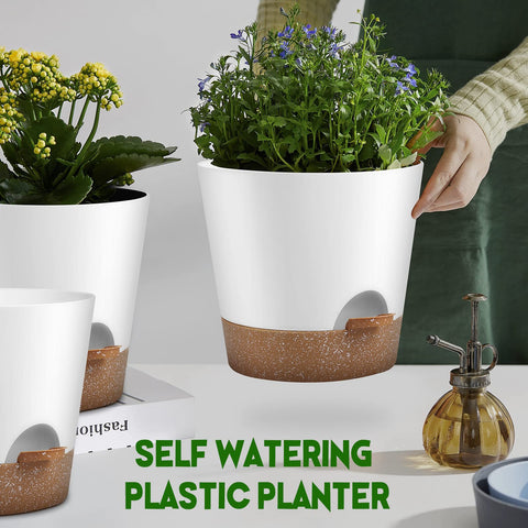 YNNICO Snow self-watering reservoir design separates water storage from soil
