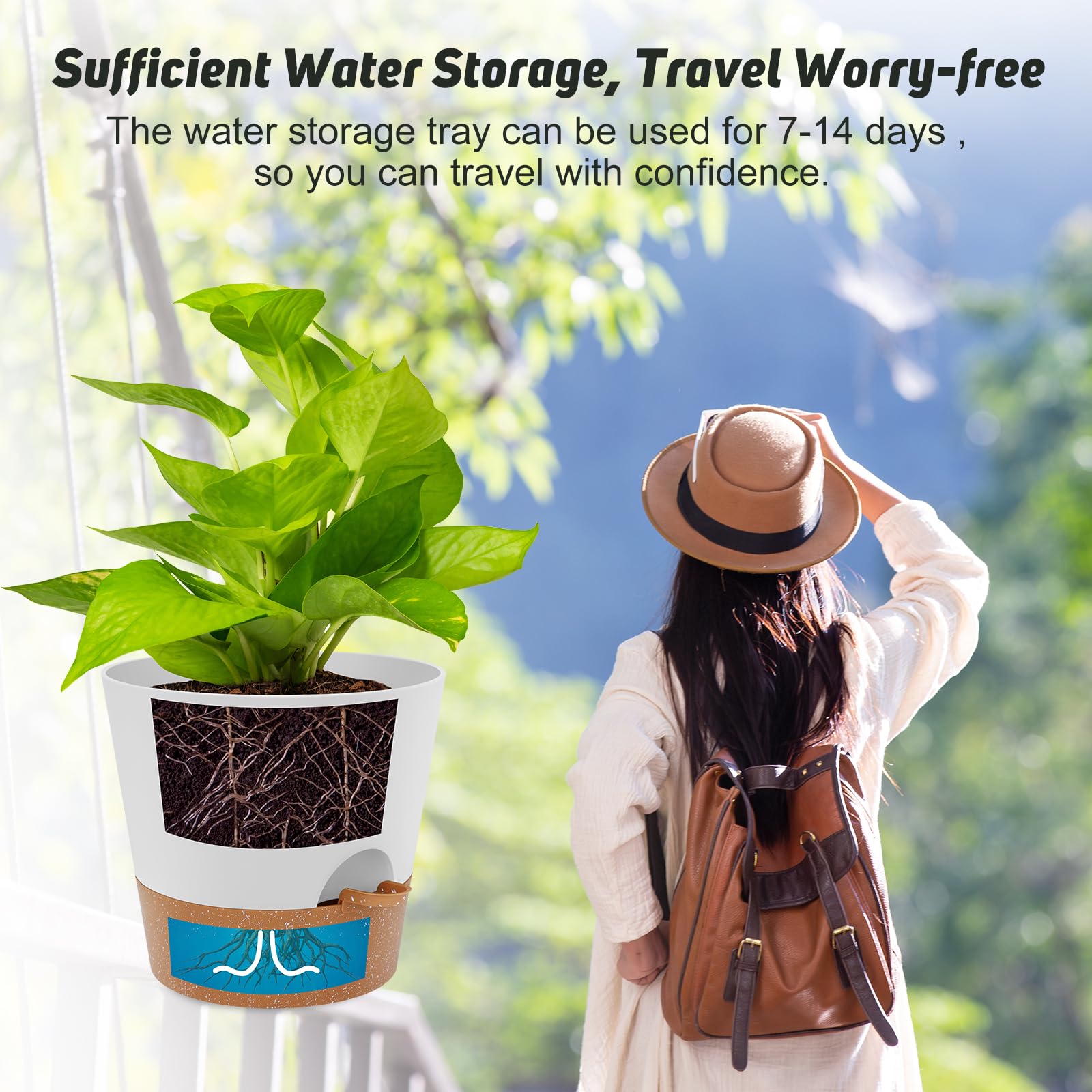 YNNICO gift-ready packaging for plant lovers and home décor.