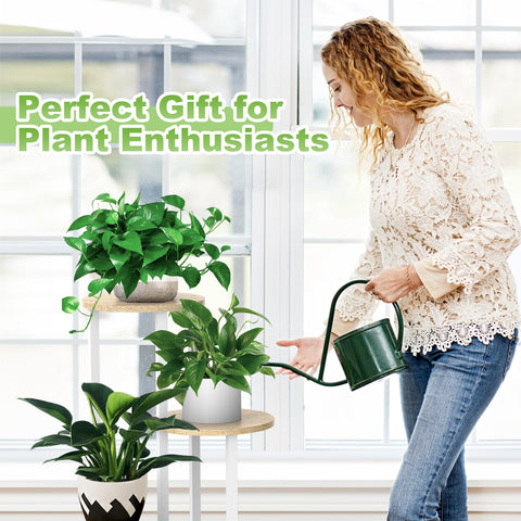YOCOMEY versatile stand fits garden patios and indoor shelves.