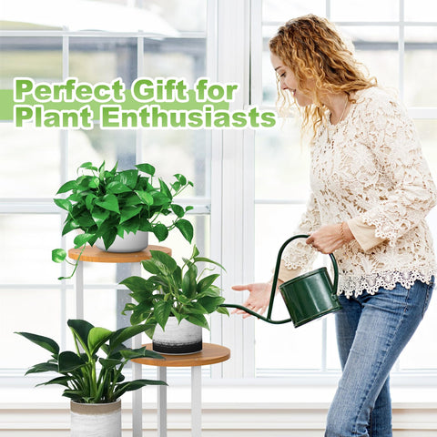YOCOMEY plant stand doubles as bookshelf or photo display.