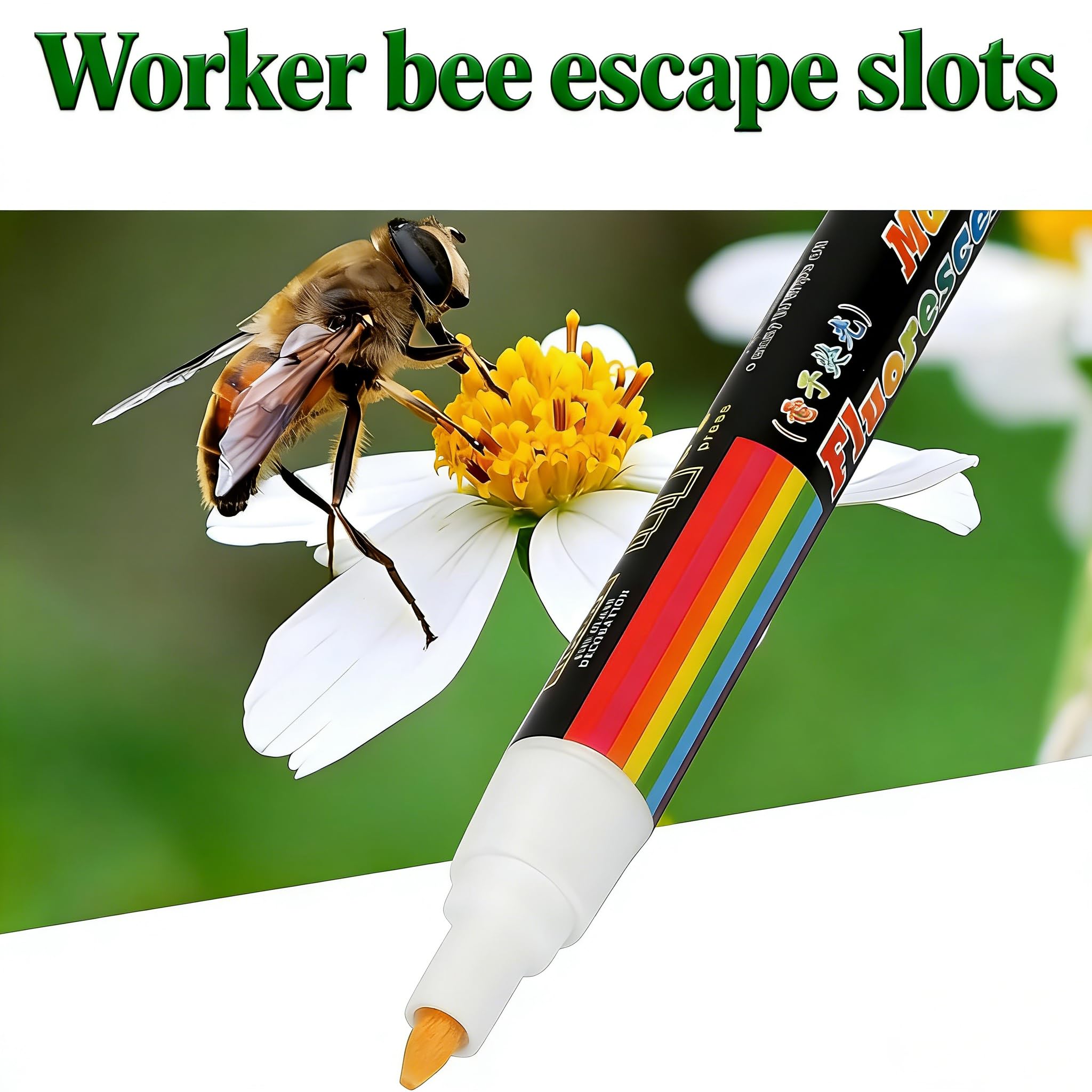 YOFAN bee breeding platform ready for controlled queen placement