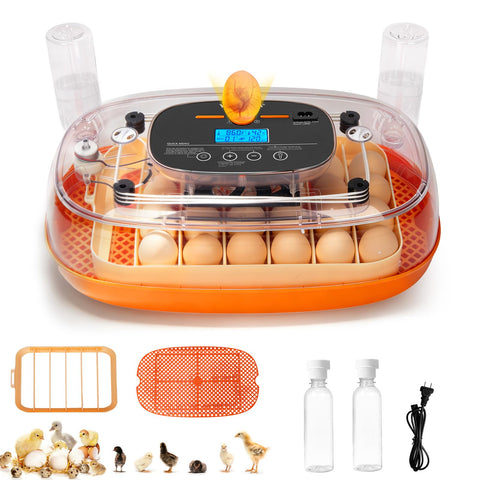 Yofidra 24-egg incubator front view shows compact capacity