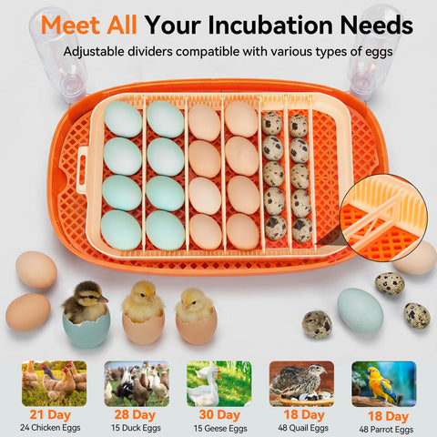 Yofidra automatic fan ensures steady airflow for stable incubation