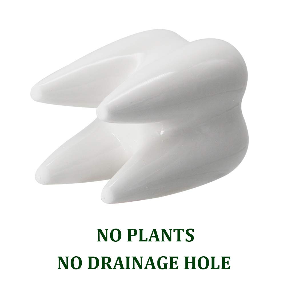 YOFIT dental office gift set: white tooth planters for elegant space.