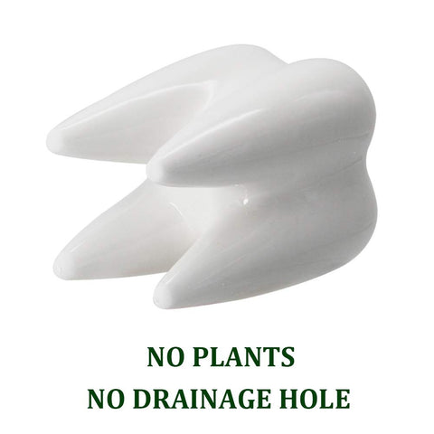 YOFIT dental office gift set: white tooth planters for elegant space.