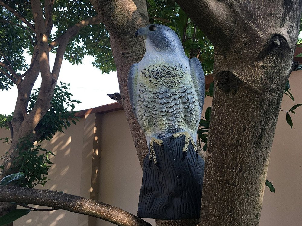 YOFIT Realistic hawk decoy changes position to stay effective.