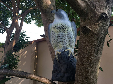 YOFIT Realistic hawk decoy changes position to stay effective.
