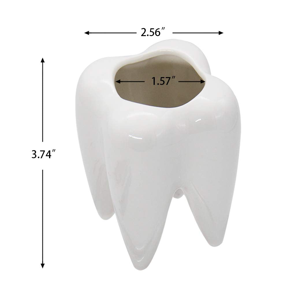 YOFIT hygienist gift decor: white tooth planters add a polished touch.