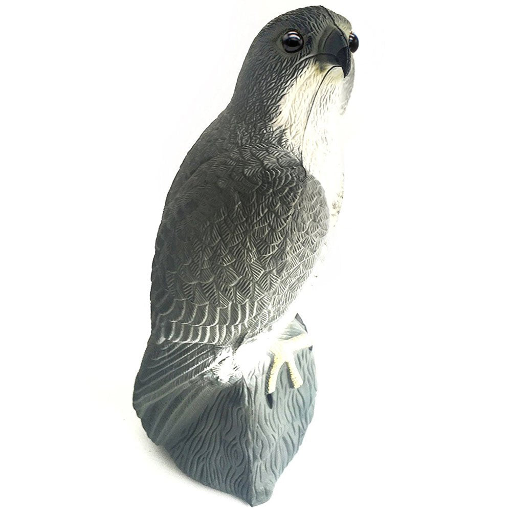The YOFIT hawk decoy hangs in a tree to deter pigeons.
