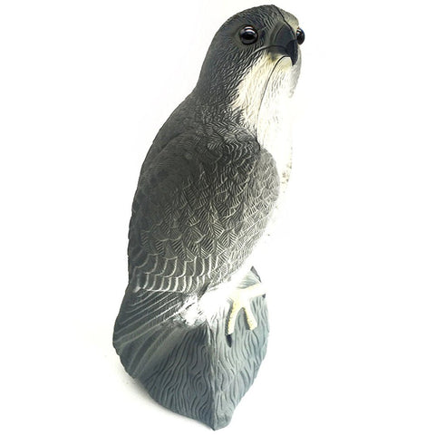 The YOFIT hawk decoy hangs in a tree to deter pigeons.