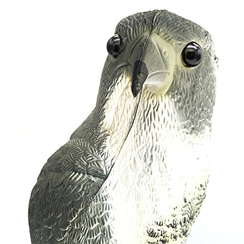 YOFIT Predator-like hawk decoy protects the garden without harming birds.