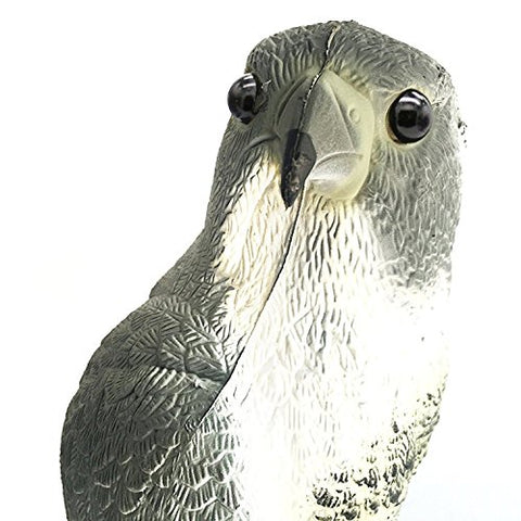YOFIT Predator-like hawk decoy protects the garden without harming birds.