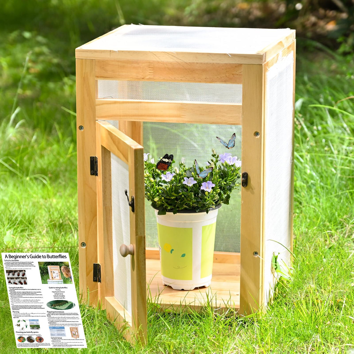 Yohsnor butterfly habitat assembly with sturdy frame and mesh for safe caterpillar care