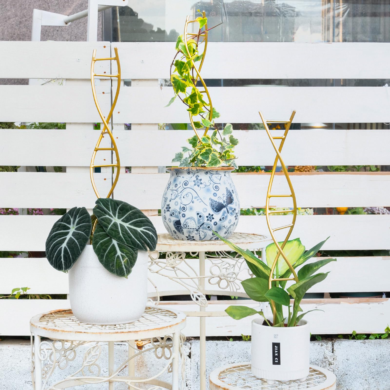 Yohsnor DNA Plant Trellis showing Hoya climbing with stylish support.