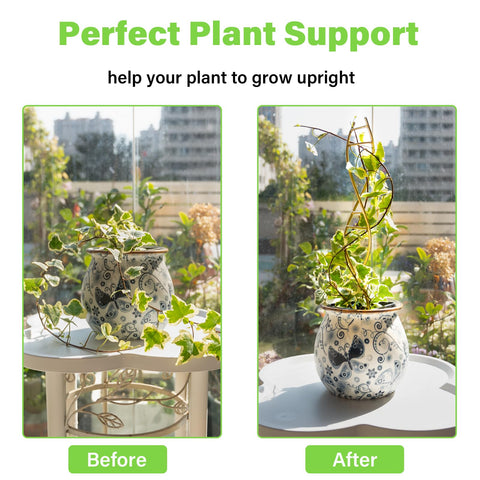 Yohsnor DNA Plant Trellis in outdoor setting highlights durable iron construction.