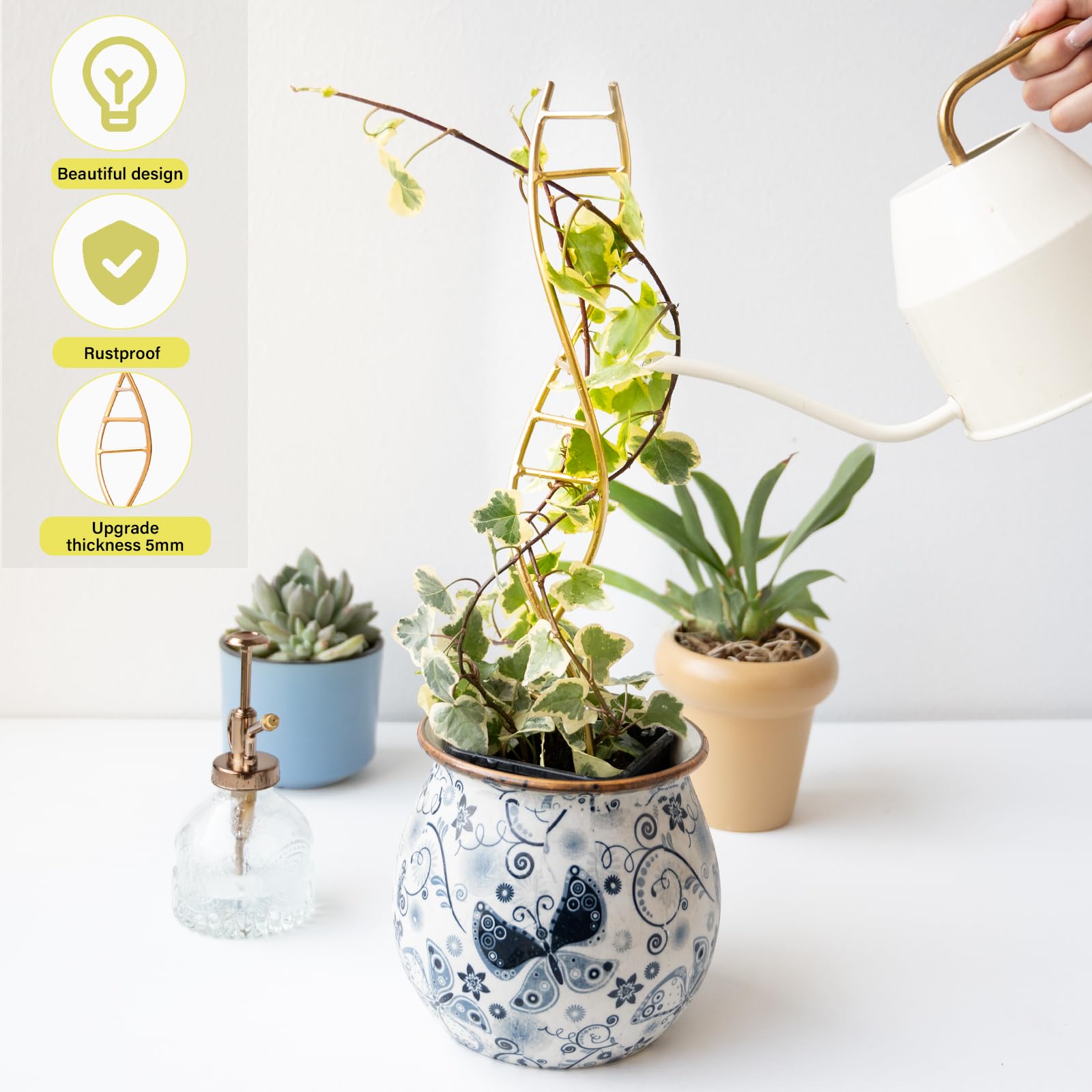 Yohsnor DNA Plant Trellis supporting Pothos climbing toward light.