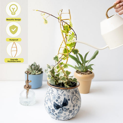 Yohsnor DNA Plant Trellis supporting Pothos climbing toward light.