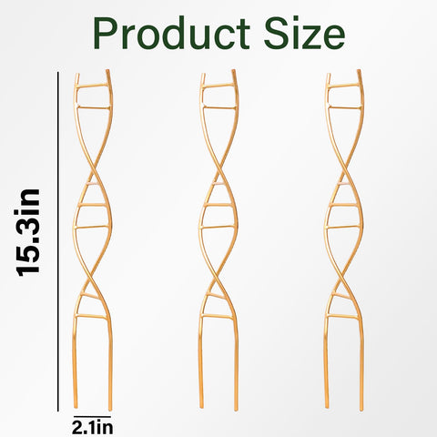 Yohsnor DNA Plant Trellis for potted plants keeps vines tidy and thriving indoors.