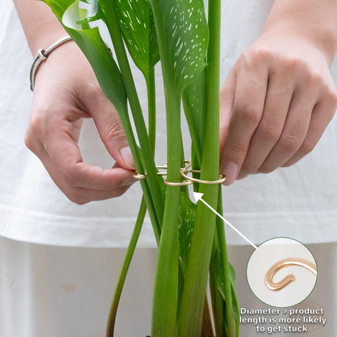 Yohsnor durable stabilizers ensure long-term stability for thriving indoor greenery