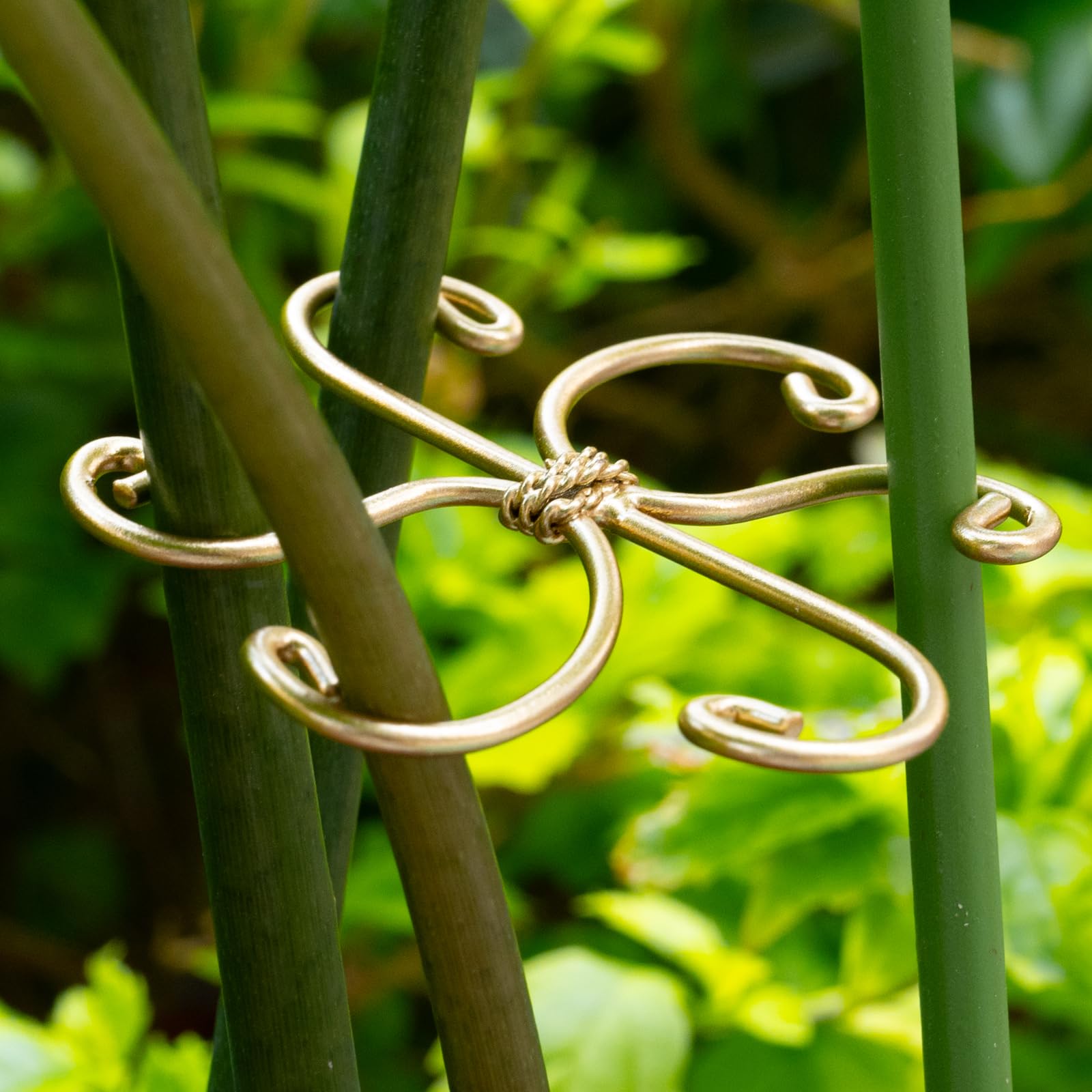 Yohsnor easy-install plant care tool simplifies stabilizing Monstera with quick adjustments