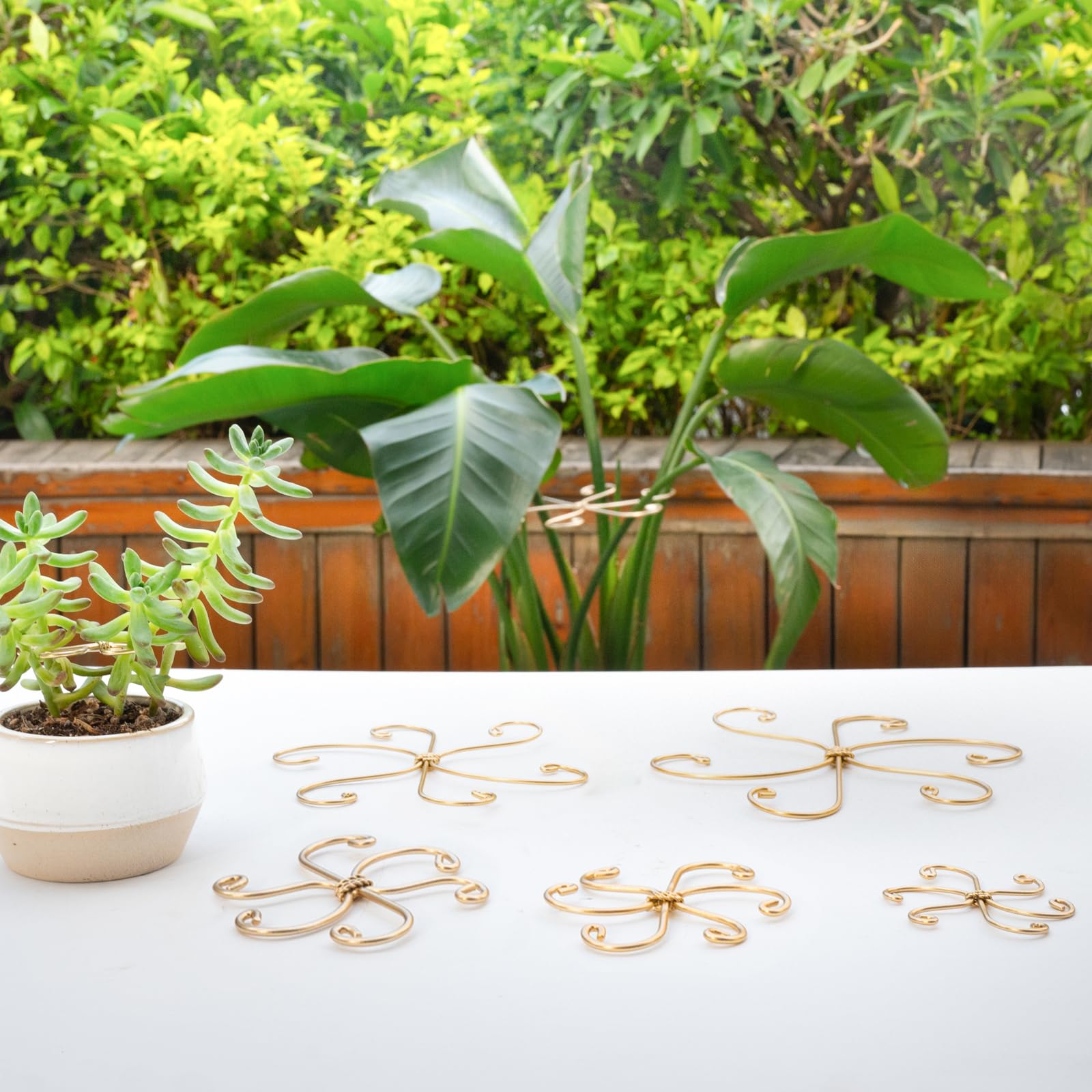Yohsnor perfect gift for plant lovers featuring stylish Monstera stem supports