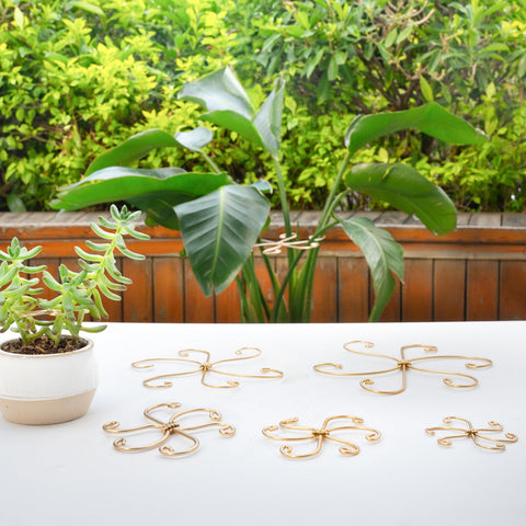 Yohsnor perfect gift for plant lovers featuring stylish Monstera stem supports