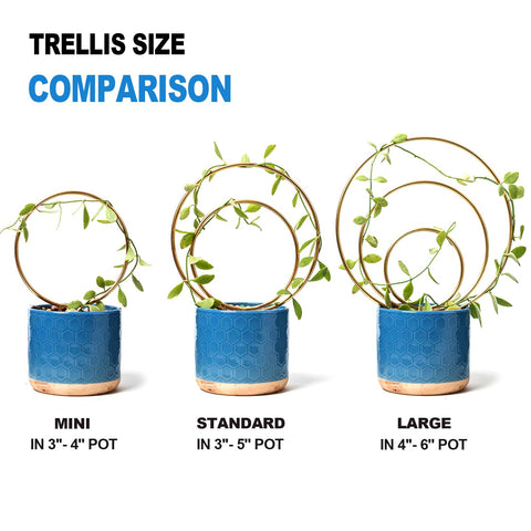 YOHSNOR height-adjustable trellis supports optimal light exposure for compact climbers.
