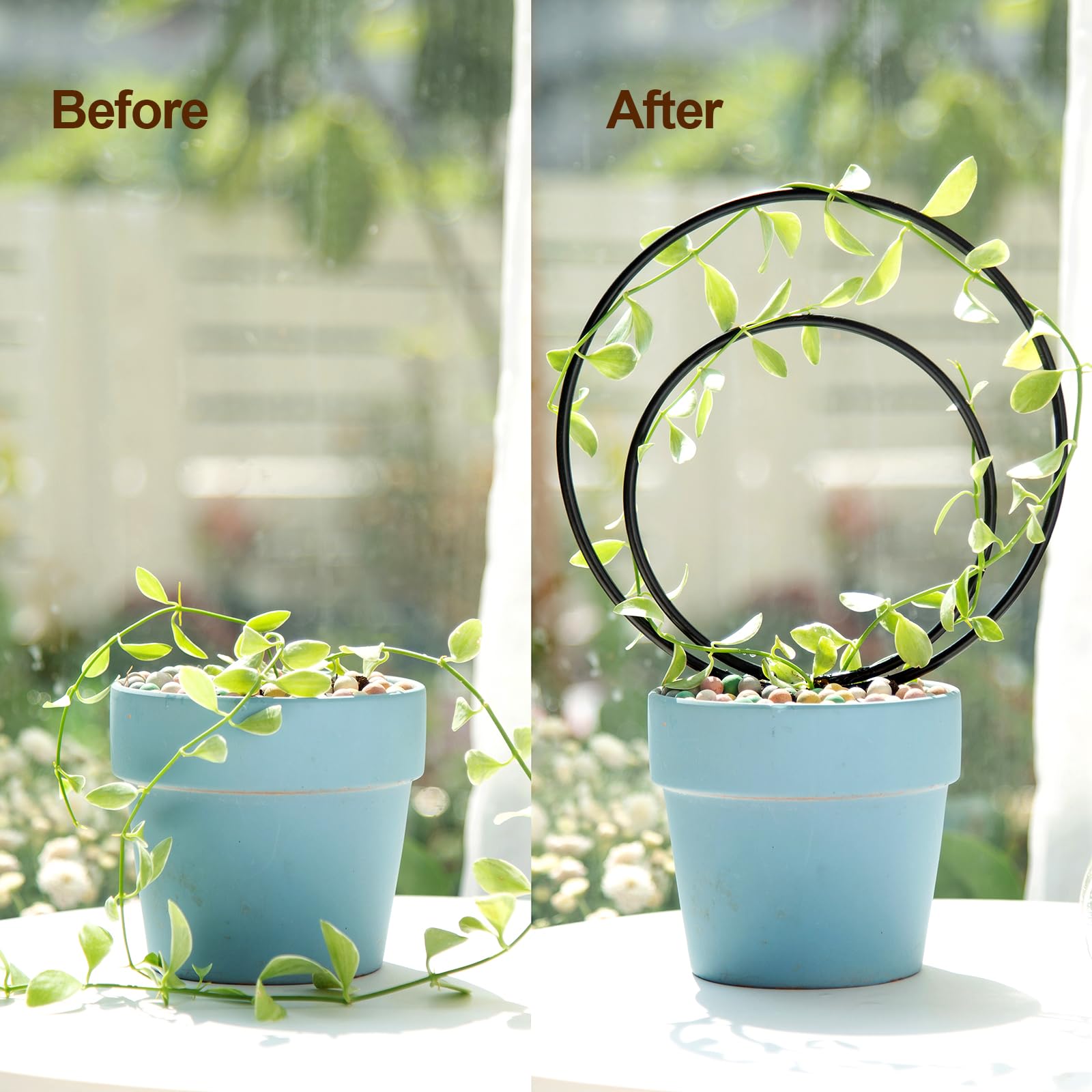YOHSNOR Hoya trellis round large ideal for tall outdoor climbers.