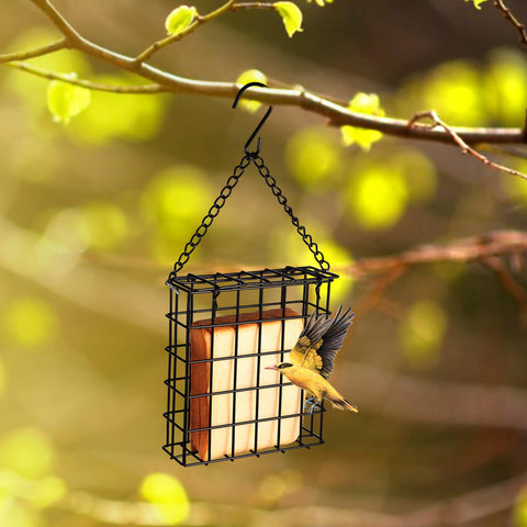 Yojanner grid-design bird feeder offering perching access for woodpeckers and tits.