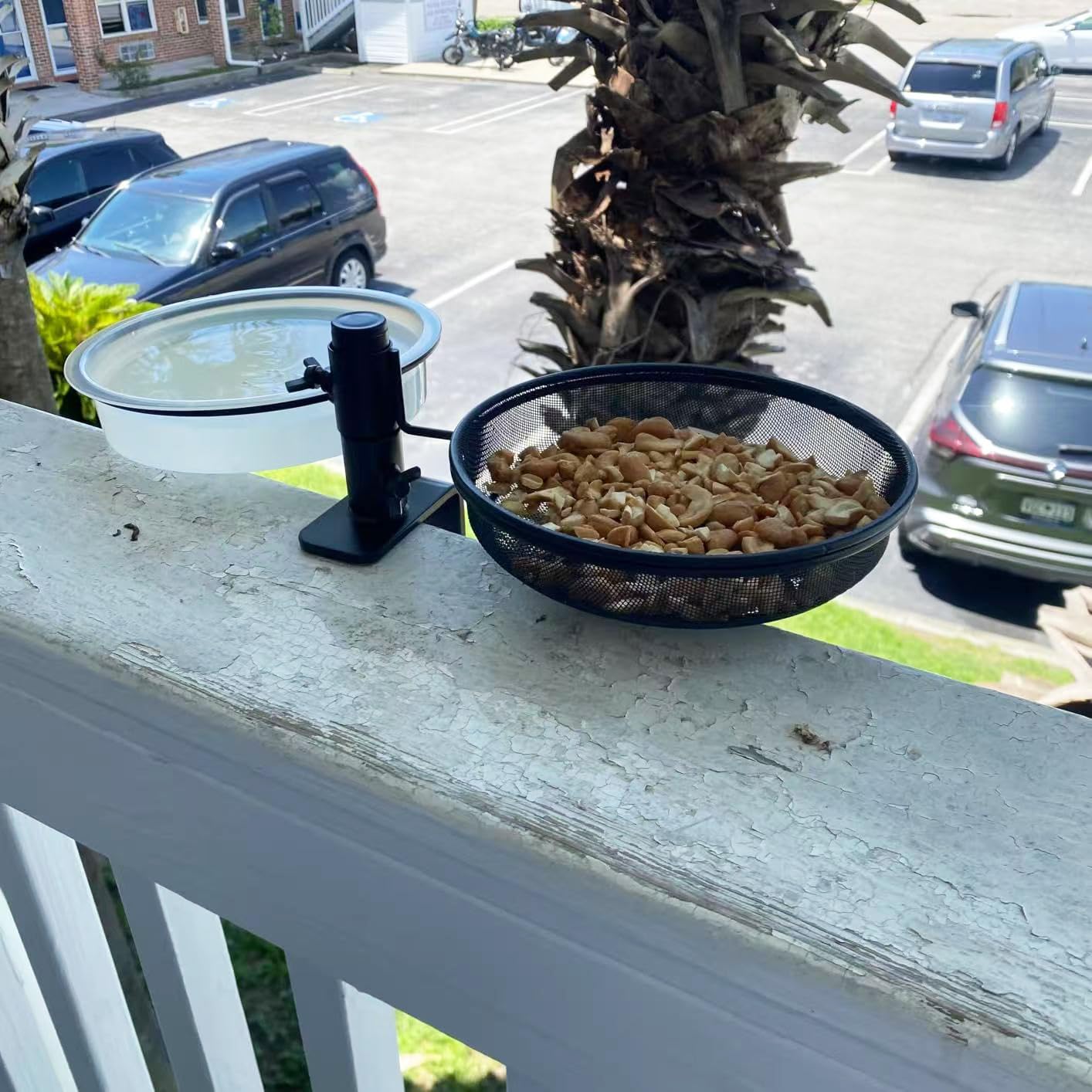 Yojanner round feeder bowl 7in for stable bird dining.