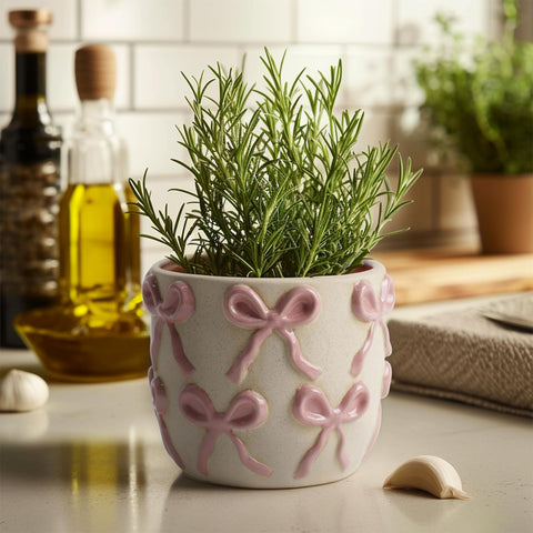 Yokiiimakiii pink bow succulent pot compact and stylish
