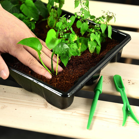YoleShy compact 14-5x9 inch trays with clear layout for organized planting.