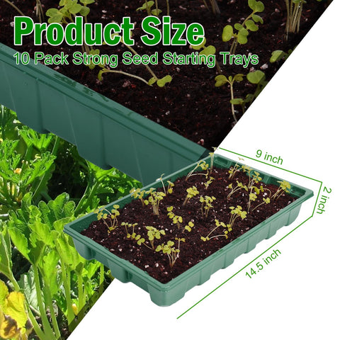 YoleShy deeper ripple edge tray emphasizes perimeter strength for plant propagation.