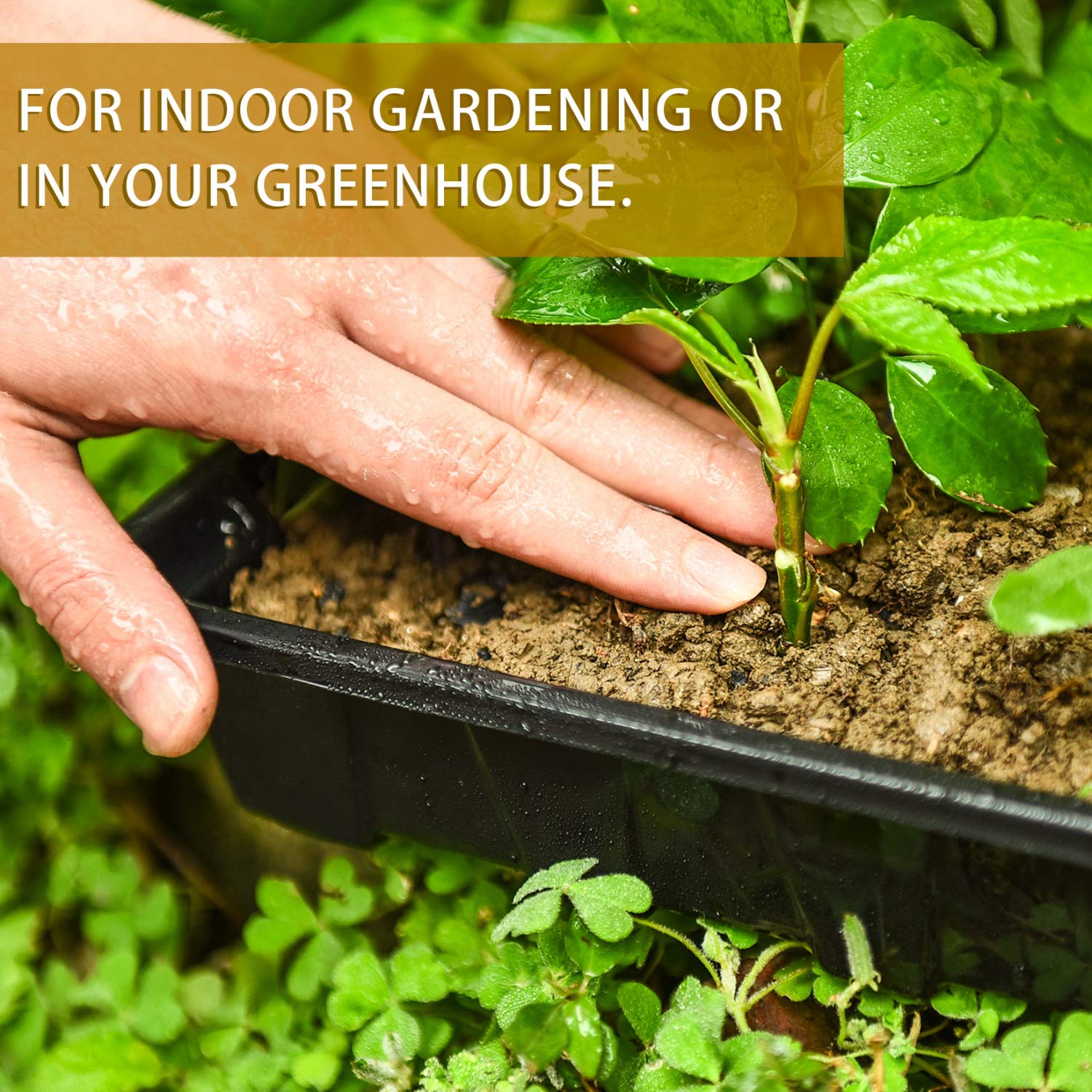 YoleShy reusable-seedling-tray-indoor-gardening ideal for greenhouse or windowsill.