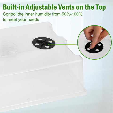 YoleShy seed starter trays arranged indoors, ideal for greenhouse or windowsill gardening.