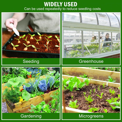 YoleShy trays with domes invite kids to learn seed growth safely.