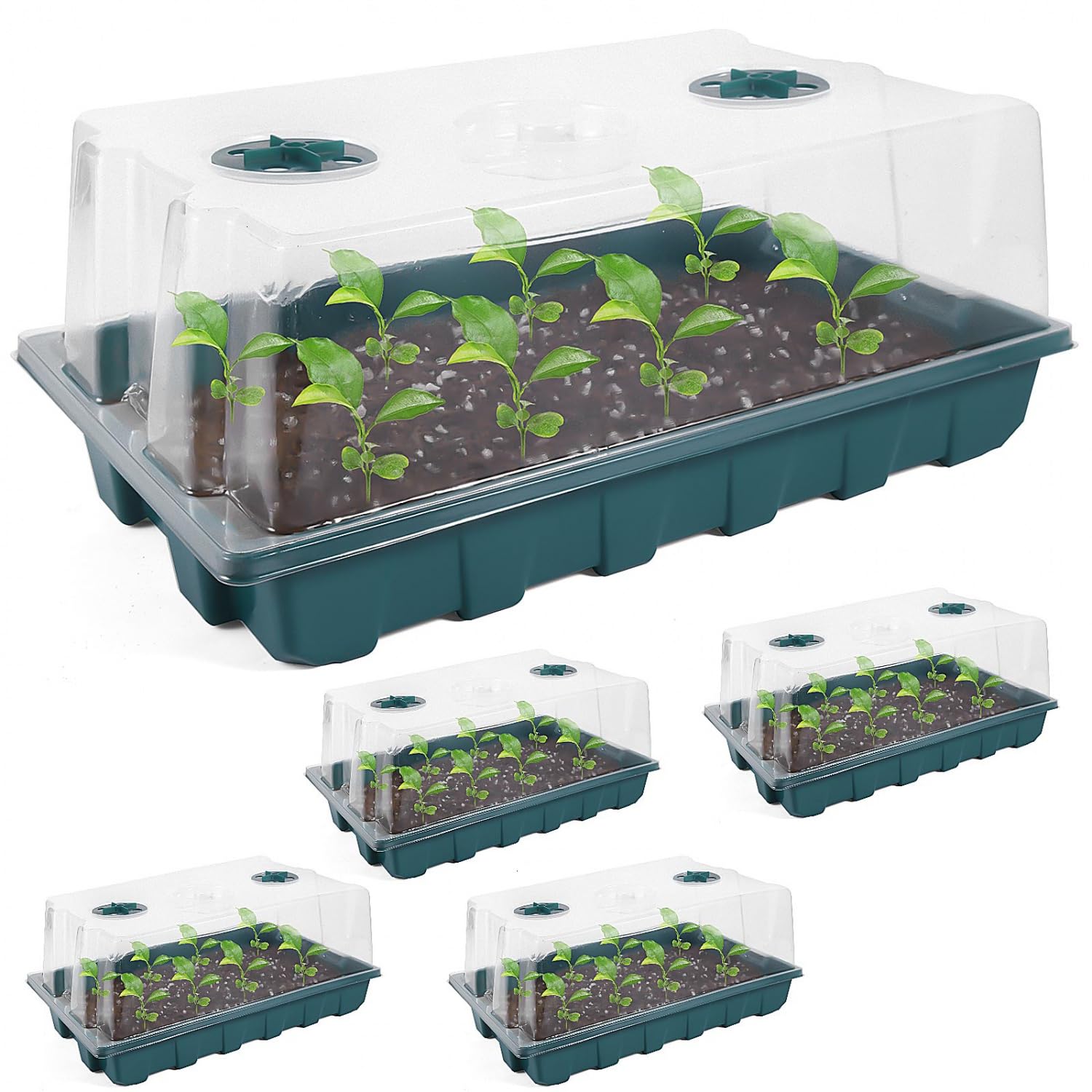 YoleShy seed starter tray with dome 5-pack for organized indoor germination