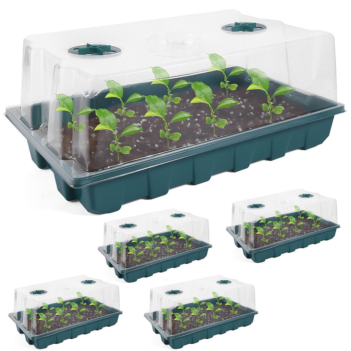 YoleShy seed starter tray with dome 5-pack for organized indoor germination