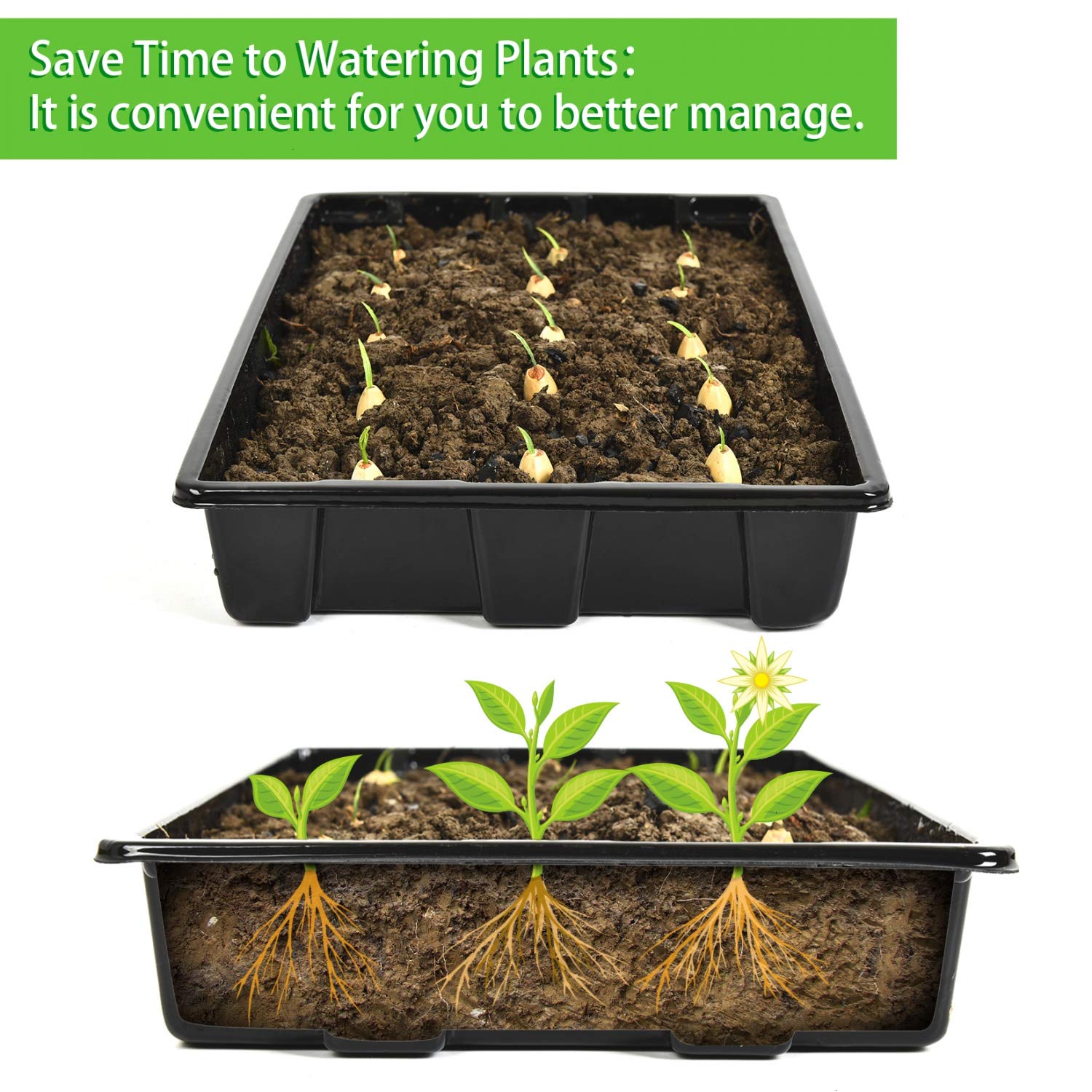 YoleShy thickened-seed-starter-tray-14-5x9 supports reliable germination.