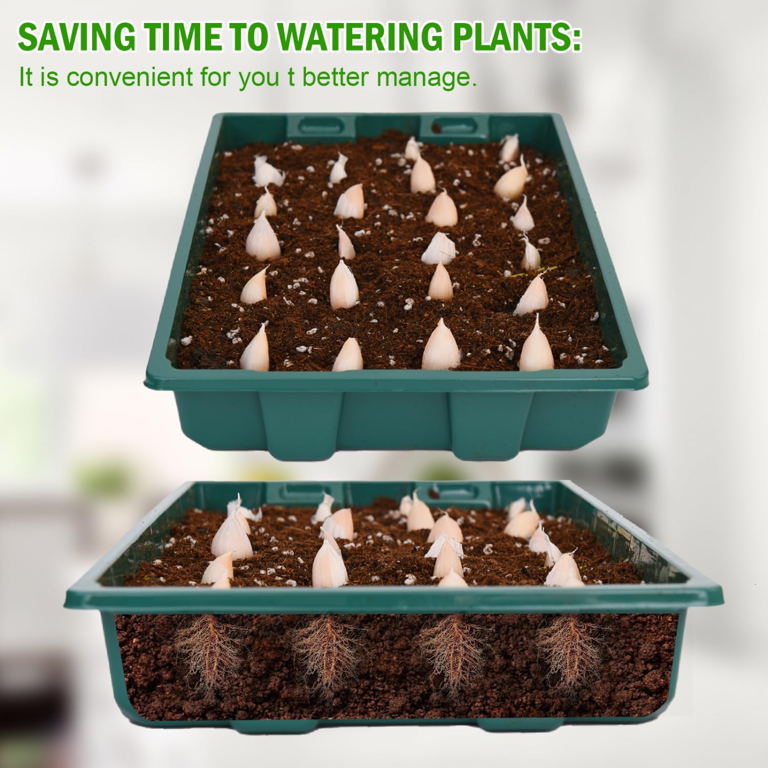 YoleShy sturdy no-hole tray 14-5x9 offers flexible indoor gardening.