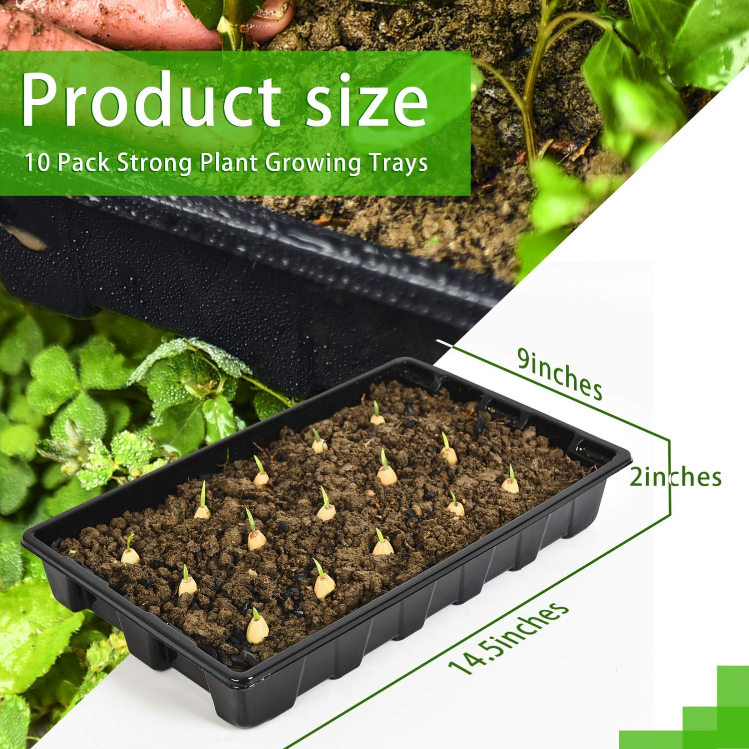 YoleShy without-drain-holes seedling-tray-14-5x9 for controlled watering.