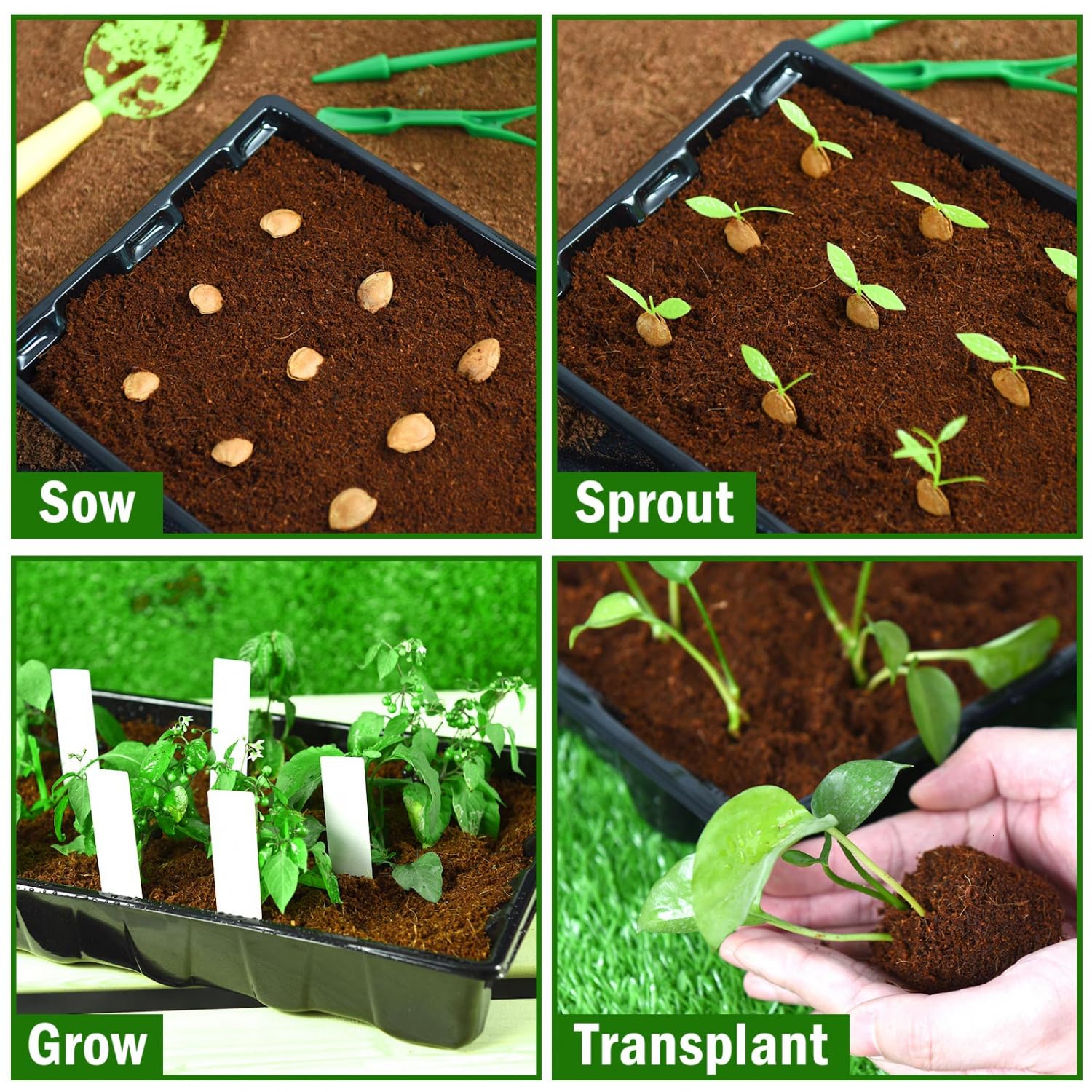 YoleShy watering-time-saver feature illustrating easy moisture management.