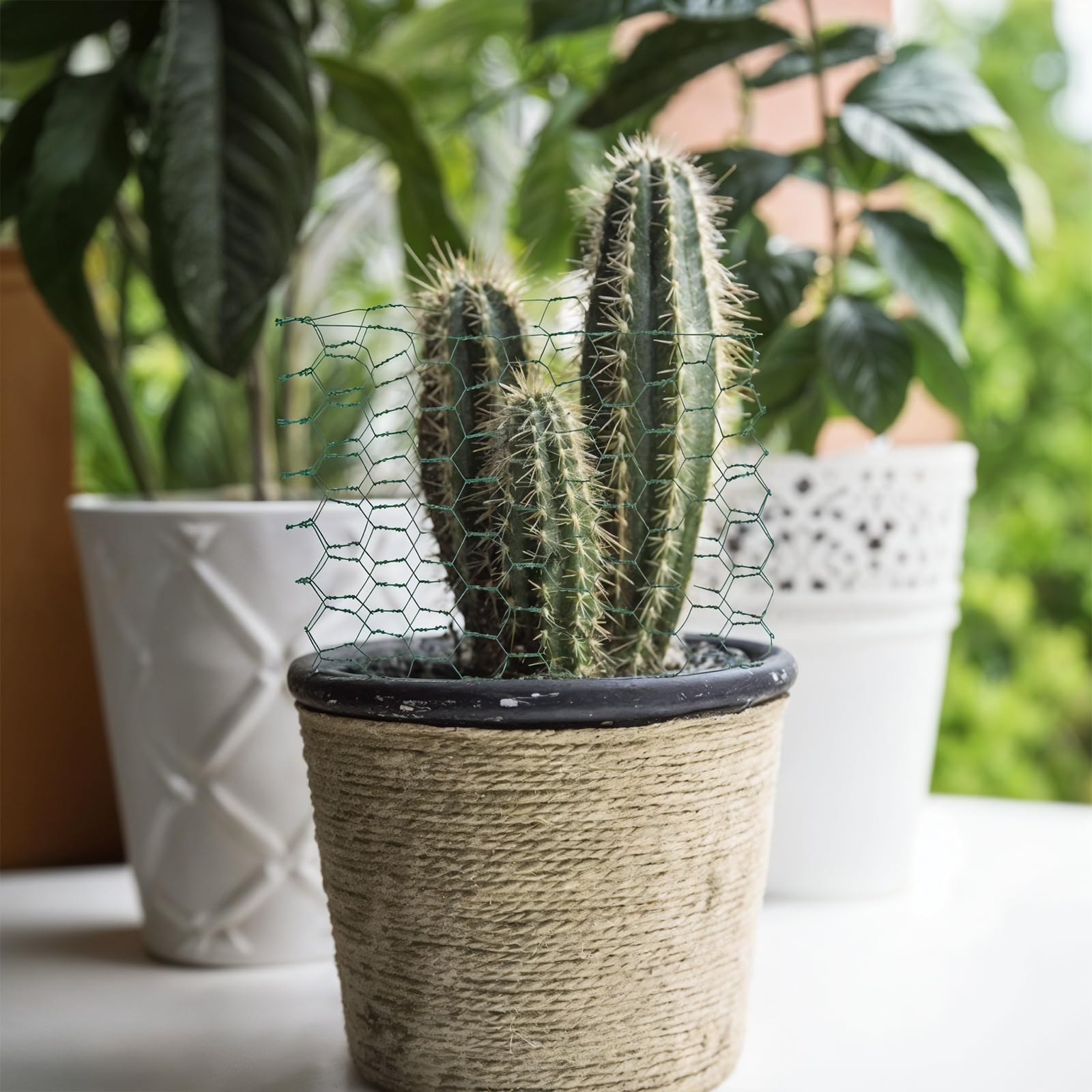 Yolev chicken wire ideal for garden, balcony, or greenhouse setups.