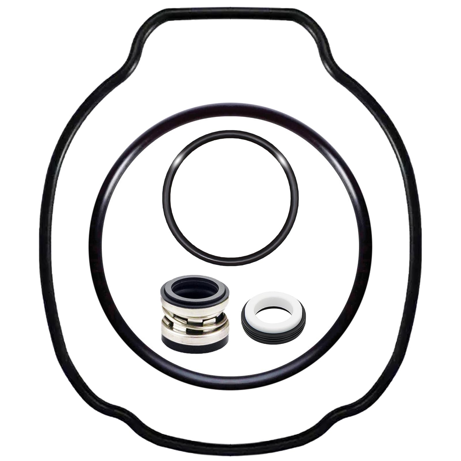 YOLOLIF LUO SPXHKIT100 cover image showing a complete pool pump seal kit