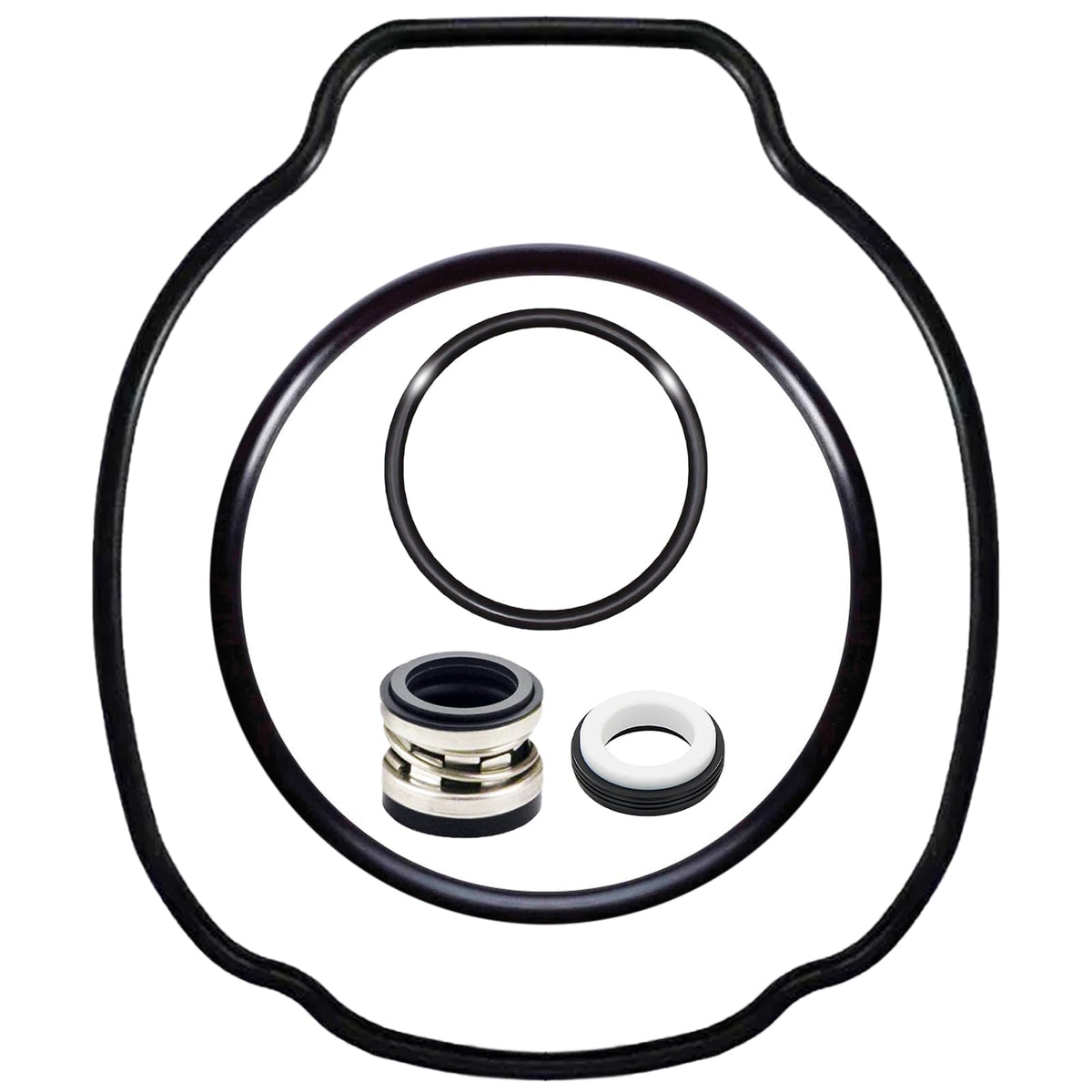 YOLOLIF LUO SPXHKIT100 cover image showing a complete pool pump seal kit