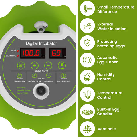Yonooq 18-egg incubator 360-degree dome view enables non-intrusive monitoring.